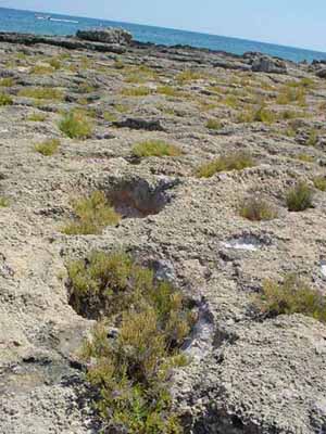 Fori circolari sull'isolotto organizzati in un evidente sistema di tracciati paralleli. Si tratta di fori atti ad alloggiare pali lignei o fasci di piccoli tronchi di alberi a basso fusto che costituivano la struttura portante di capanne dei tre villaggi neolitici presenti nella zona.