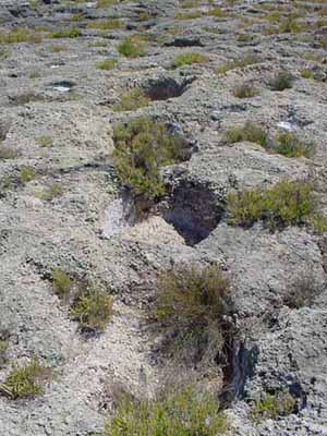 Fori circolari sull'isolotto organizzati in un evidente sistema di tracciati paralleli. Si tratta di fori atti ad alloggiare pali lignei o fasci di piccoli tronchi di alberi a basso fusto che costituivano la struttura portante di capanne dei tre villaggi neolitici presenti nella zona.